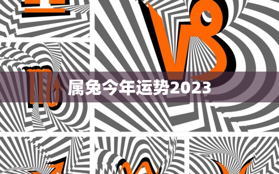 属兔今年运势2023，属兔今年运势2022年运势如好不好