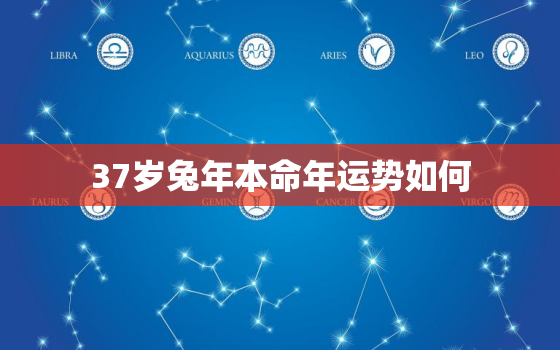 37岁兔年本命年运势如何，属兔36岁本命年