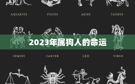 2023年属狗人的命运，2023年属狗运势及运程