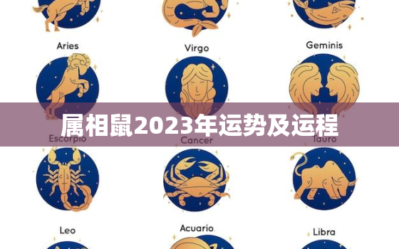 属相鼠2023年运势及运程，属鼠2023年的运势