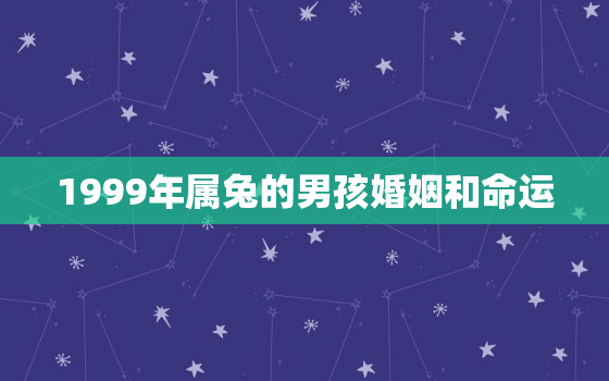 1999年属兔的男孩婚姻和命运，99年属兔婚姻早还是晚