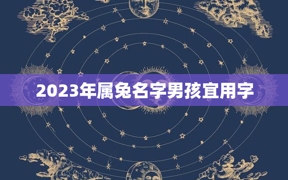 2023年属兔名字男孩宜用字，2023年兔宝宝男孩