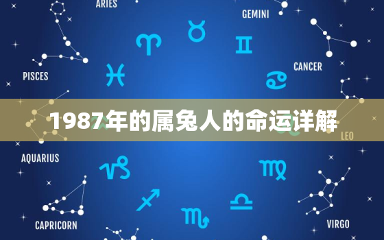 1987年的属兔人的命运详解，1987年属兔人的命理和运势