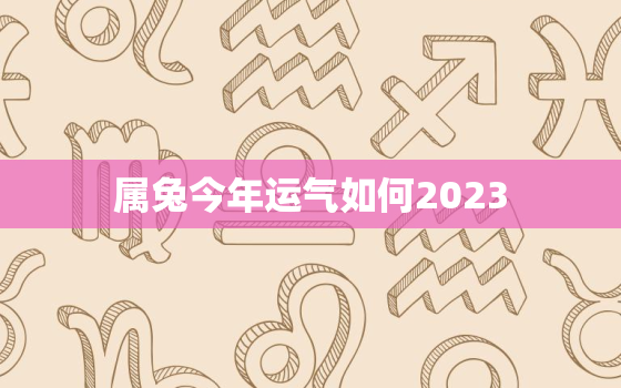 属兔今年运气如何2023，属兔2022年运势及运程_2023年属兔人的全年运势