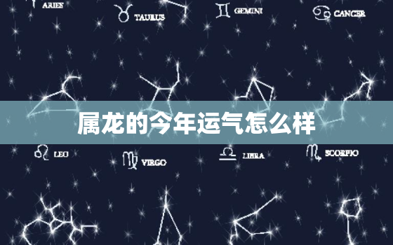 属龙的今年运气怎么样，属兔的今年的运气怎么样