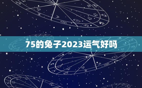 75的兔子2023运气好吗，1975属兔2023年运势