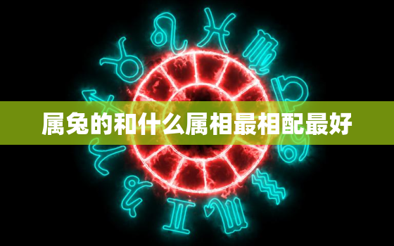 属兔的和什么属相最相配最好，属兔的和什么属相最配最旺财