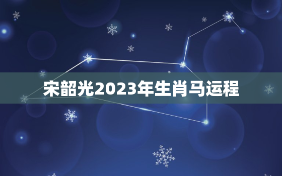 宋韶光2023年生肖马运程，宋韶光2021年属马运程