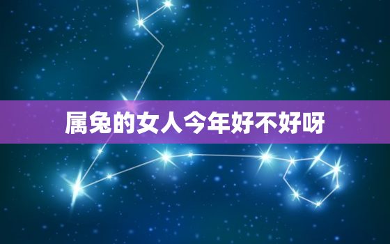 属兔的女人今年好不好呀，属兔的女人今年财运怎么样