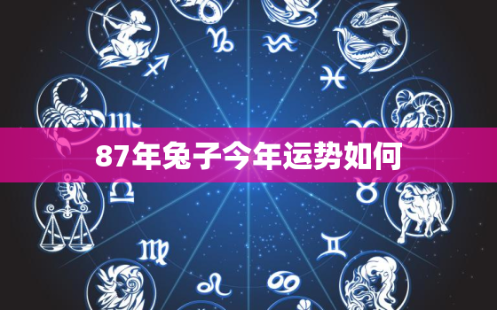 87年兔子今年运势如何，87年的兔子今年运气怎么样