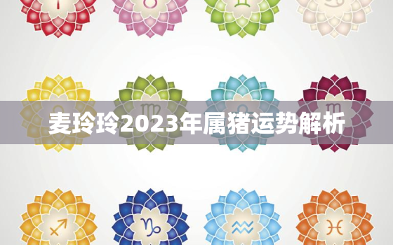 麦玲玲2023年属猪运势解析，麦玲玲2021年属猪人运程