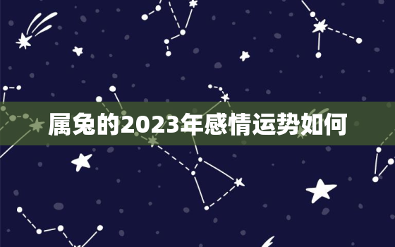 属兔的2023年感情运势如何，属兔在2023年婚姻怎么样