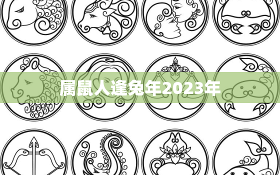 属鼠人逢兔年2023年，生肖鼠在2023兔年好吗?