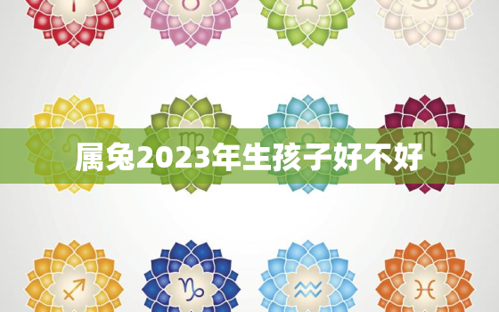 属兔2023年生孩子好不好，2023年兔年适合生子的属相