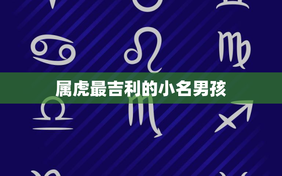 属虎最吉利的小名男孩，100个好听到爆的乳名属虎