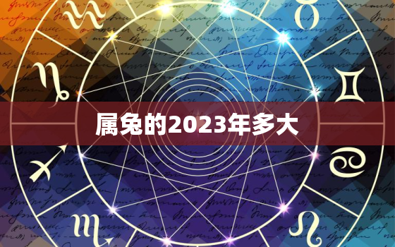 属兔的2023年多大，1963年属兔的2023年多大