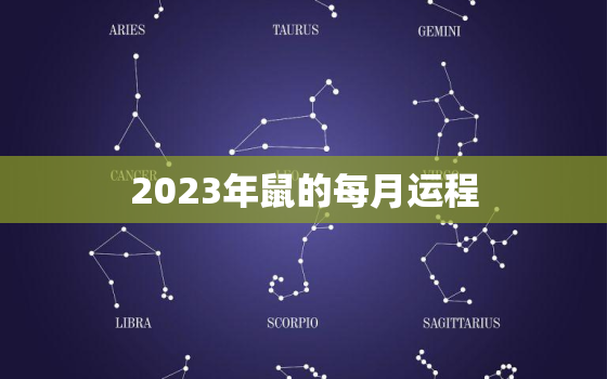 2023年鼠的每月运程，2023年鼠人全年运程