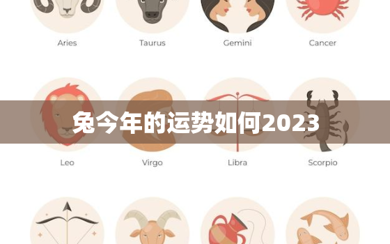 兔今年的运势如何2023，兔今年的运势如何2022女