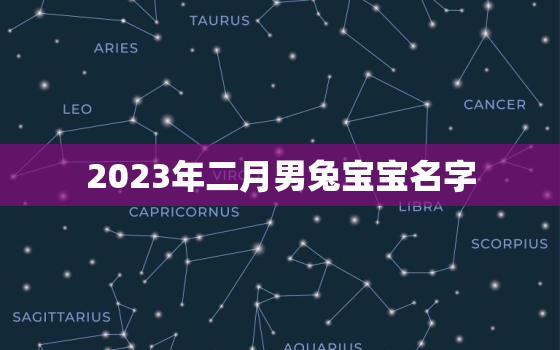 2023年二月男兔宝宝名字，2023年属兔几月出生命运