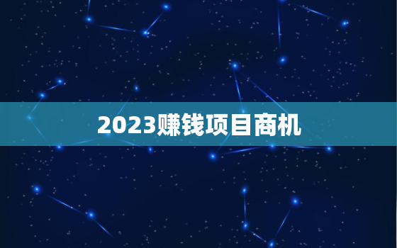 2023赚钱项目商机，2023年什么行业最有前景