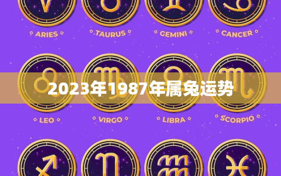 2023年1987年属兔运势，2023年生肖兔1987运势大全