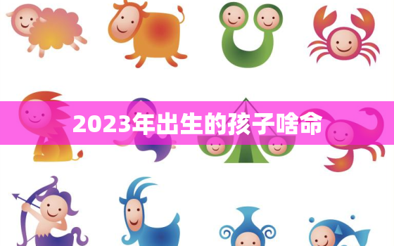 2023年出生的孩子啥命，请问2023年出生的宝宝是什么命