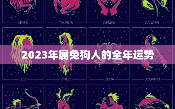 2023年属兔狗人的全年运势，2023年属兔人的全年运势详解