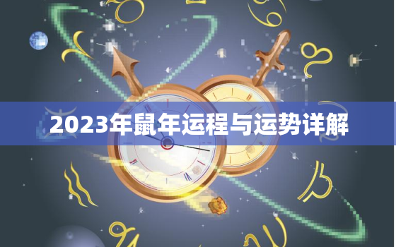 2023年鼠年运程与运势详解，2023年鼠的运程