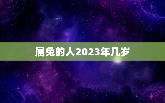 属兔的人2023年几岁，属兔的人2023年几岁了啊