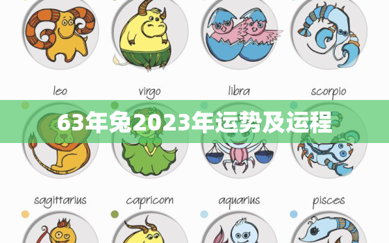 63年兔2023年运势及运程，麦玲玲2023年兔年运程