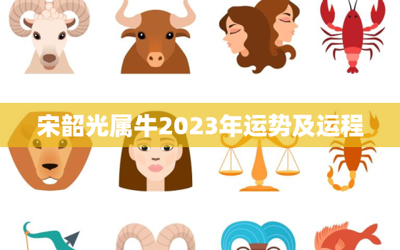 宋韶光属牛2023年运势及运程，2023年属牛人的运势运程大全
详解