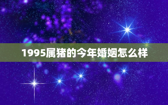 1995属猪的今年婚姻怎么样，1995属猪2021年有婚姻