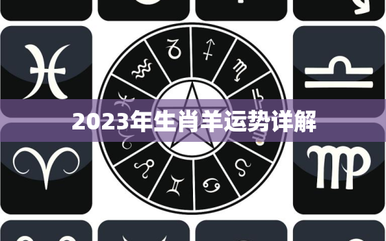 2023年生肖羊运势详解，2023年羊运势及运程