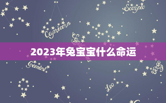 2023年兔宝宝什么命运，2023年兔宝宝命格好么