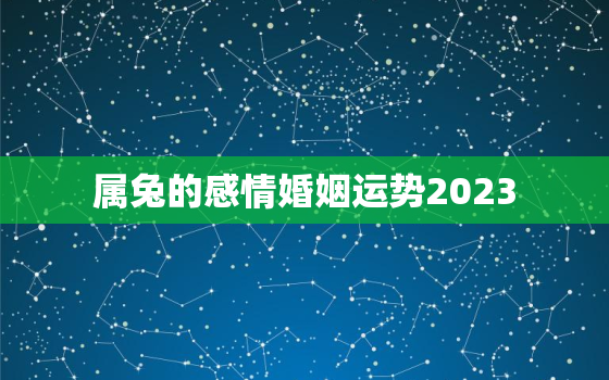 属兔的感情婚姻运势2023，属兔运势2023年运势详解