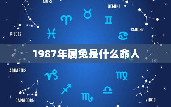 1987年属兔是什么命人，1987年属兔是什么命华易网