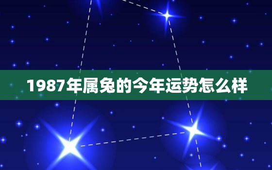 1987年属兔的今年运势怎么样，1987年属兔人今年运程