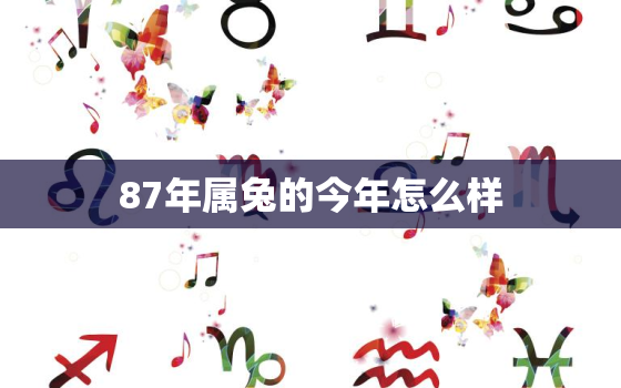 87年属兔的今年怎么样，87年属兔今年运势怎么样