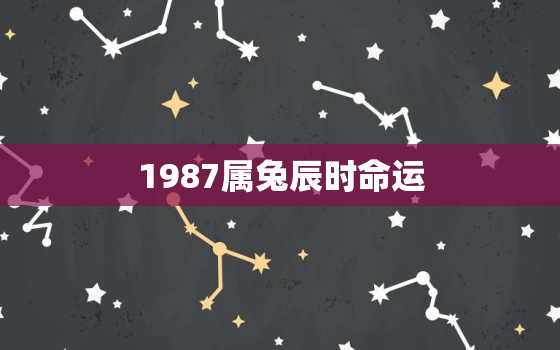 1987属兔辰时命运，87年辰时出生