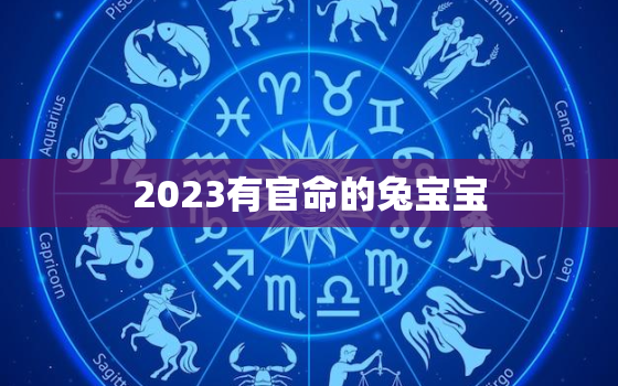 2023有官命的兔宝宝，2023兔好还是2024龙好