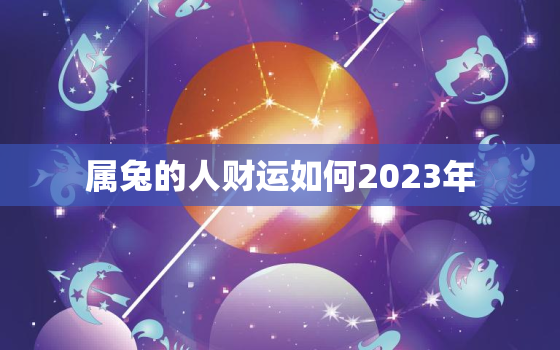 属兔的人财运如何2023年，属兔人2023年运势运程