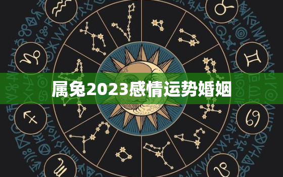 属兔2023感情运势婚姻，属兔的2023年运势运程