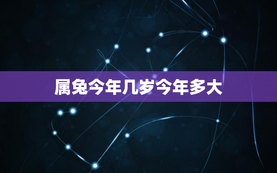 属兔今年几岁今年多大，属兔今年多大年龄虚岁