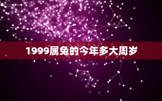 1999属兔的今年多大周岁，1999属兔今年几周岁