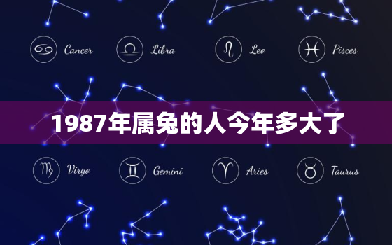 1987年属兔的人今年多大了，1987年属兔的今年多少周岁