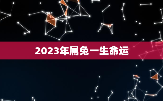 2023年属兔一生命运，2023年属兔一生命运怎样