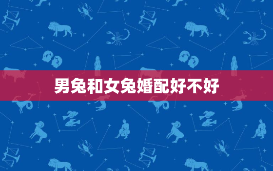 男兔和女兔婚配好不好，男兔和女兔其实非常配