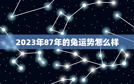 2023年87年的兔运势怎么样，2023年属兔运势