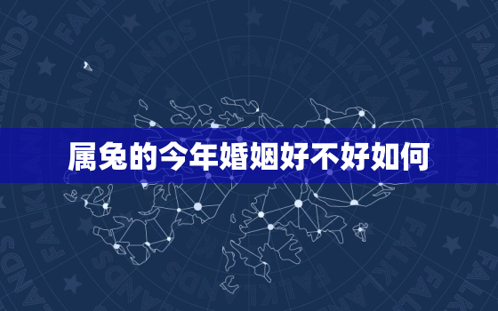 属兔的今年婚姻好不好如何，属兔的今年婚姻运势如何?