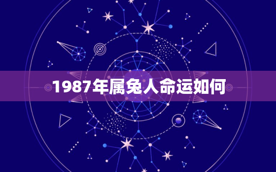 1987年属兔人命运如何，1987年属兔人命运如何呢